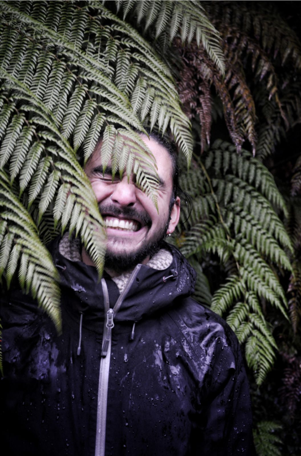 Laughing in the ferns