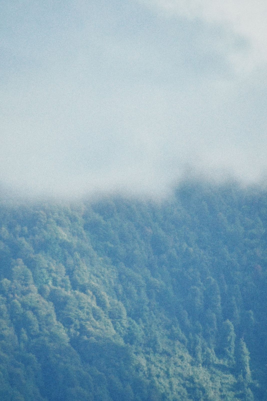 Fog
