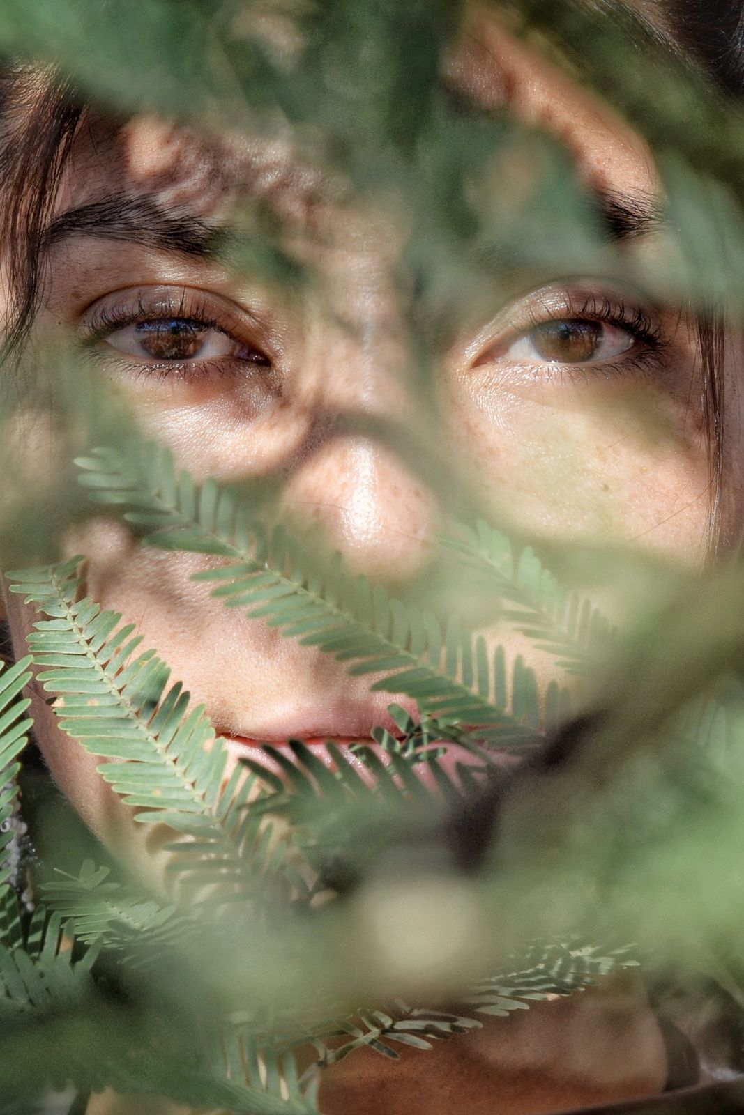 Through the fern